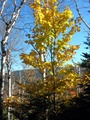 dscn1066.jpg