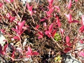 dscn1073.jpg