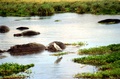 image0_5.jpg