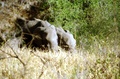 image13.jpg