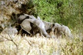 image14.jpg