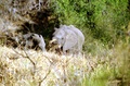 image15.jpg