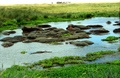 image15_4.jpg
