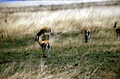 image17_2.jpg