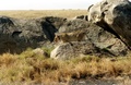 image18.jpg