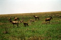 image20_2.jpg