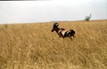 image21.jpg