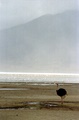 image21_3.jpg