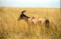 image23.jpg