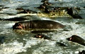 image2_2.jpg