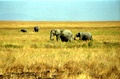 image3_3.jpg