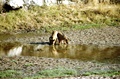 image9.jpg