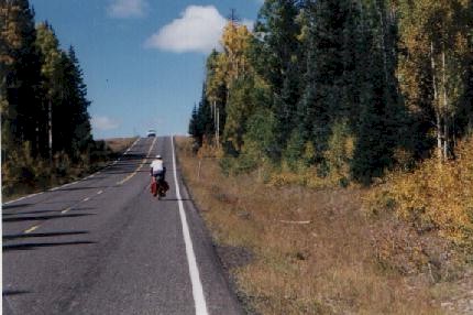 aspens.jpg (32932 bytes)