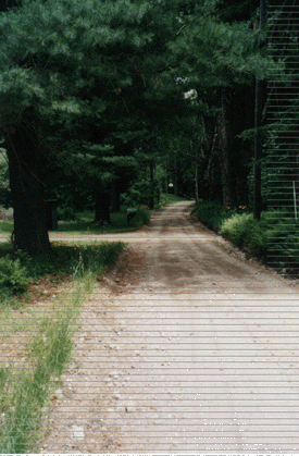 Photo of dirt road in Massachusetts